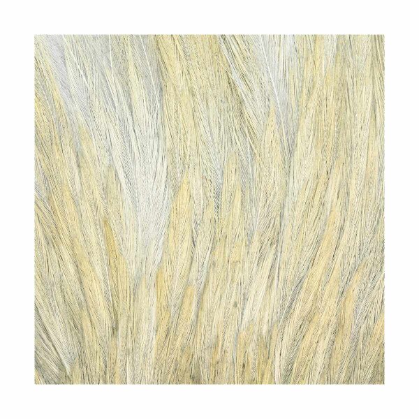 IMPORTED DRY FLY NECKS, Fly Tying Jann's Netcraft